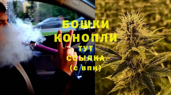мяу мяу кристалл Корсаков