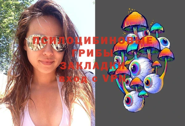 МДПВ Алексеевка
