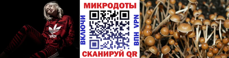 Псилоцибиновые грибы GOLDEN TEACHER  Бобров 